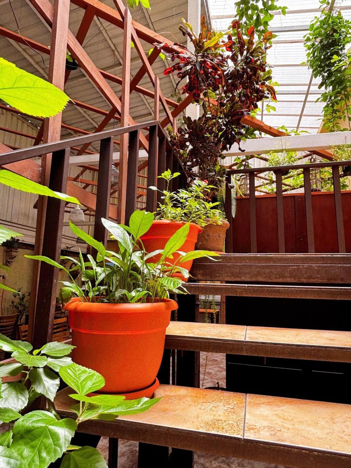 Antigua Inn Hotel Guatemala City Bagian luar foto