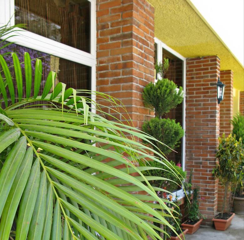 Antigua Inn Hotel Guatemala City Bagian luar foto